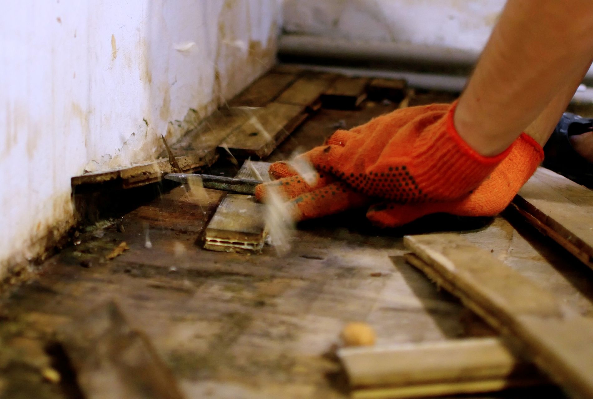 Water damage restoration service in Albuquerque, New Mexico