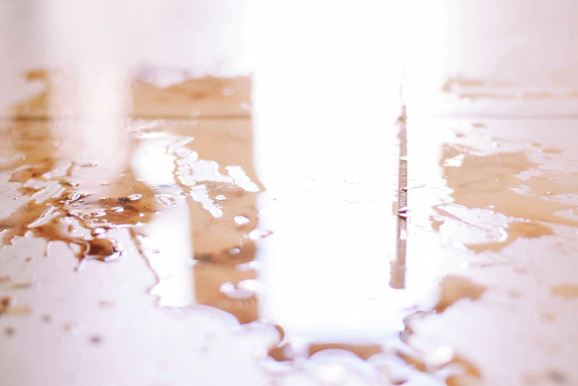 Water damage restoration service